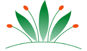 Logo: Altenpflegeheim Muldentalstift